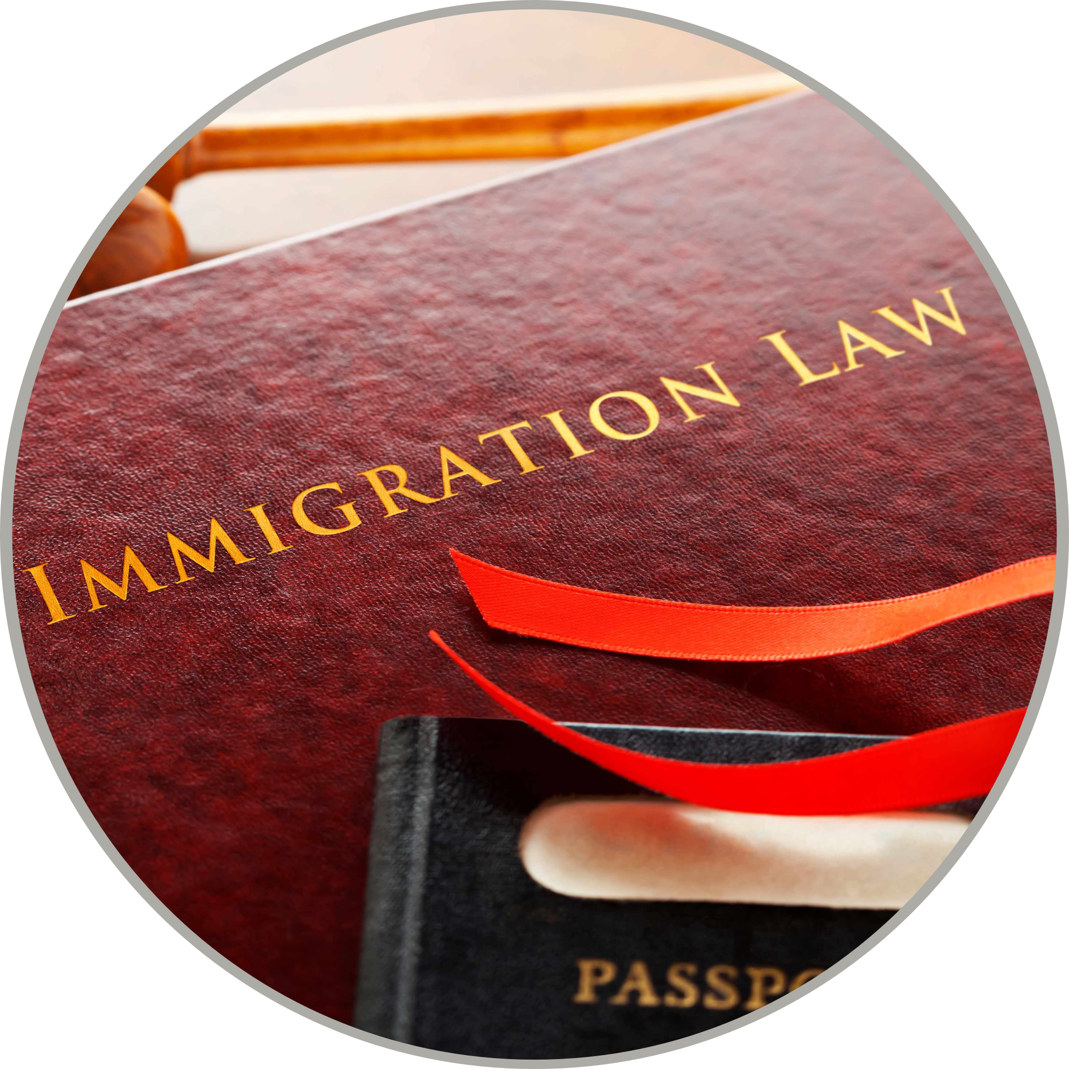 Immigration Law